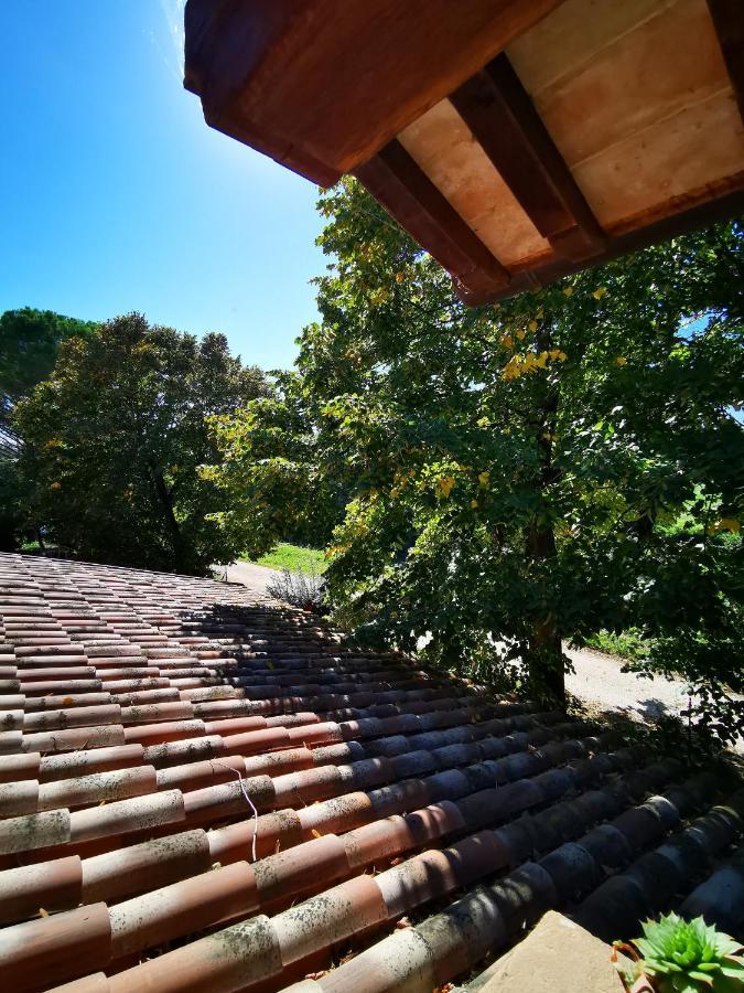 Bed and Breakfast La Casa Dei Tigli Cannara Exterior foto