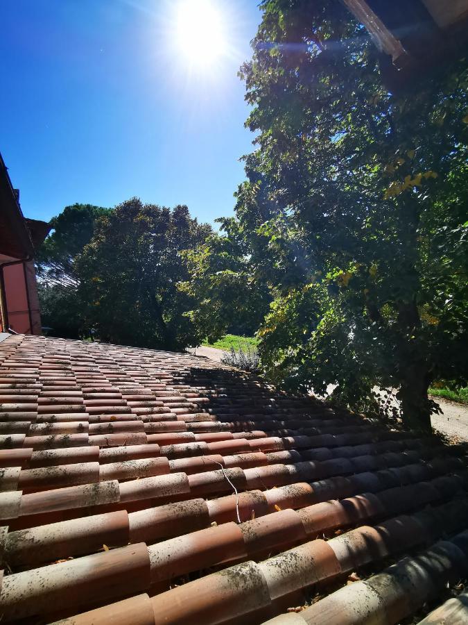 Bed and Breakfast La Casa Dei Tigli Cannara Exterior foto